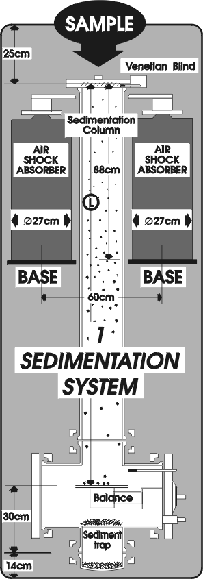 sedi11